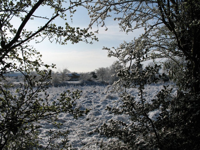 After the April 6th snowstorm - Fields (2)